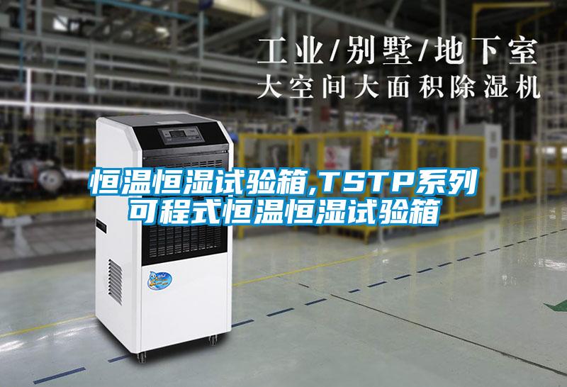 国产精品探花在线观看 恒温恒湿试验箱,TSTP系列可程式恒温恒湿试验箱