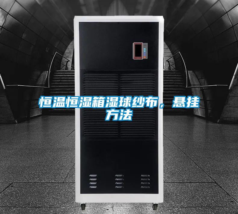 国产精品欧美激情视频 恒温恒湿箱湿球纱布，悬挂方法