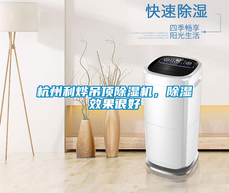 国产精品三级在线观看 杭州利烨吊顶除湿机，除湿效果很好