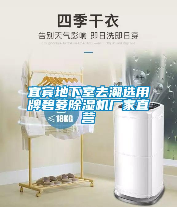 国产精品三级在线观看 宜宾地下室去潮选用牌碧菱除湿机厂家直营
