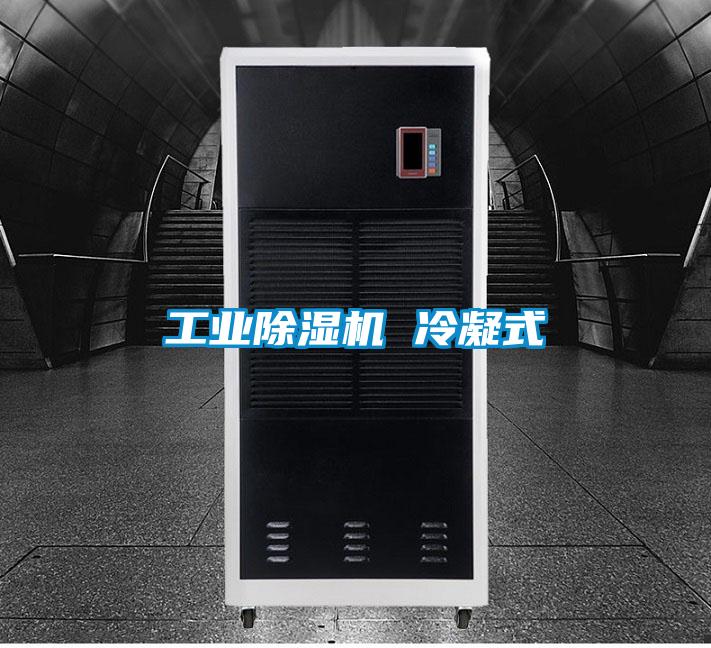 国产精品欧美激情视频 工业除湿机 冷凝式