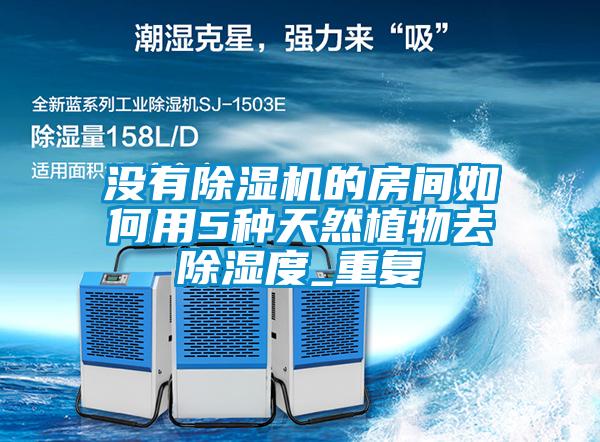 国产精品三级在线观看 没有除湿机的房间如何用5种天然植物去除湿度_重复