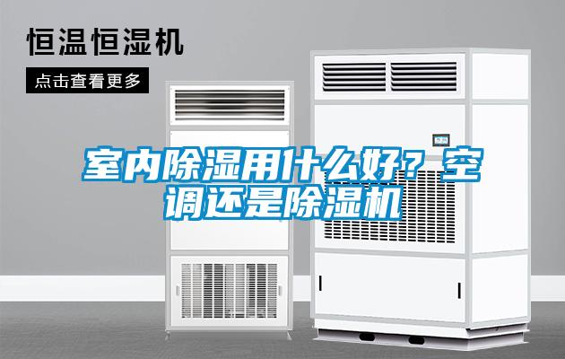 国产精品三级在线观看 室内除湿用什么好？空调还是除湿机