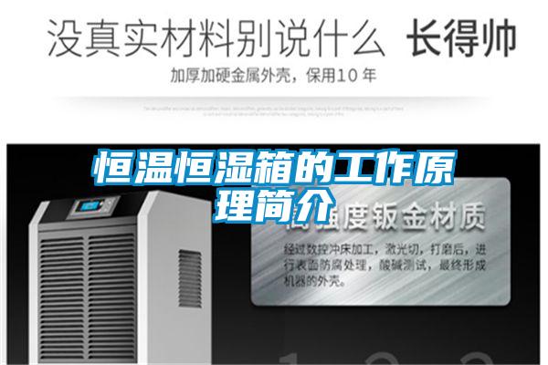 国产精品欧美激情视频 恒温恒湿箱的工作原理简介