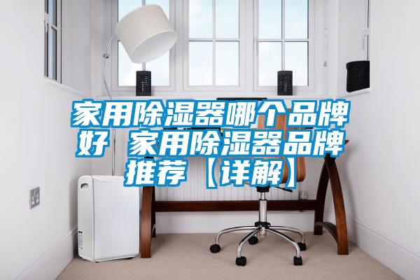 国产精品欧美激情视频 家用除湿器哪个品牌好 家用除湿器品牌推荐【详解】