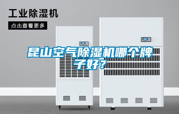 国产精品三级在线观看 昆山空气除湿机哪个牌子好？