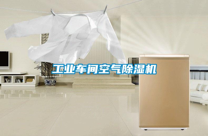 国产精品探花在线观看 工业车间空气除湿机