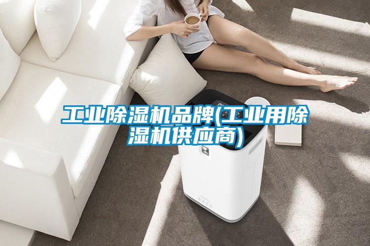 国产精品欧美激情视频 工业除湿机品牌(工业用除湿机供应商)