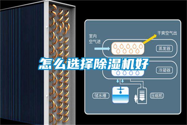国产精品探花在线观看 怎么选择除湿机好