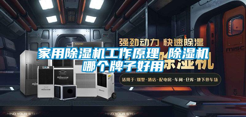 国产精品探花在线观看 家用除湿机工作原理 除湿机哪个牌子好用