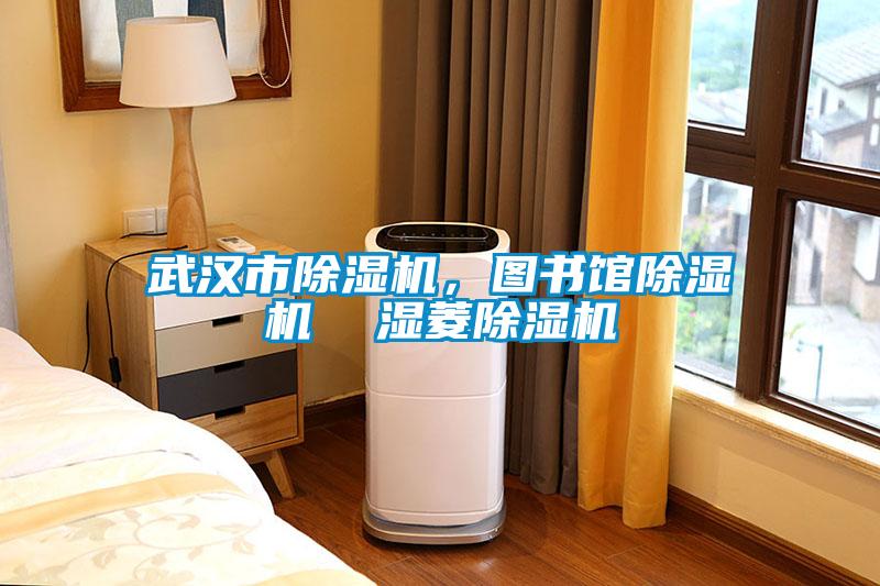 国产精品探花在线观看 武汉市除湿机，图书馆除湿机  湿菱除湿机