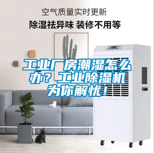 国产精品三级在线观看 工业厂房潮湿怎么办？工业除湿机为你解忧！