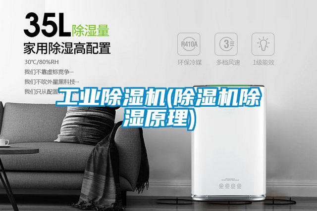 国产精品三级在线观看 工业除湿机(除湿机除湿原理)