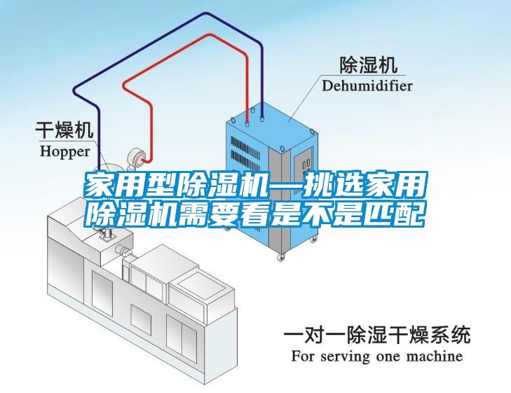 国产精品欧美激情视频 家用型除湿机—挑选家用除湿机需要看是不是匹配
