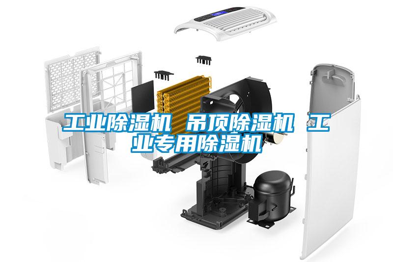国产精品欧美激情视频 工业除湿机 吊顶除湿机 工业专用除湿机