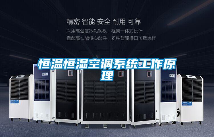 国产精品探花在线观看 恒温恒湿空调系统工作原理