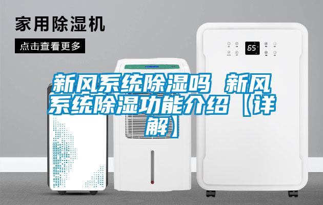 国产精品三级在线观看 新风系统除湿吗 新风系统除湿功能介绍【详解】