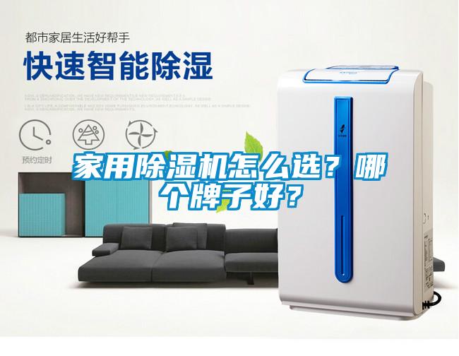 国产精品探花在线观看 家用除湿机怎么选？哪个牌子好？