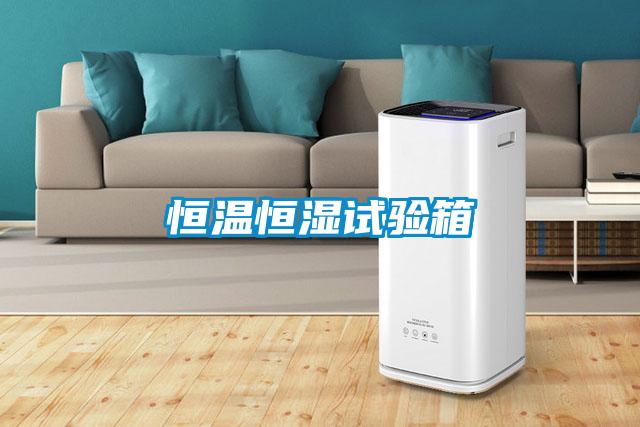 国产精品三级在线观看 恒温恒湿试验箱