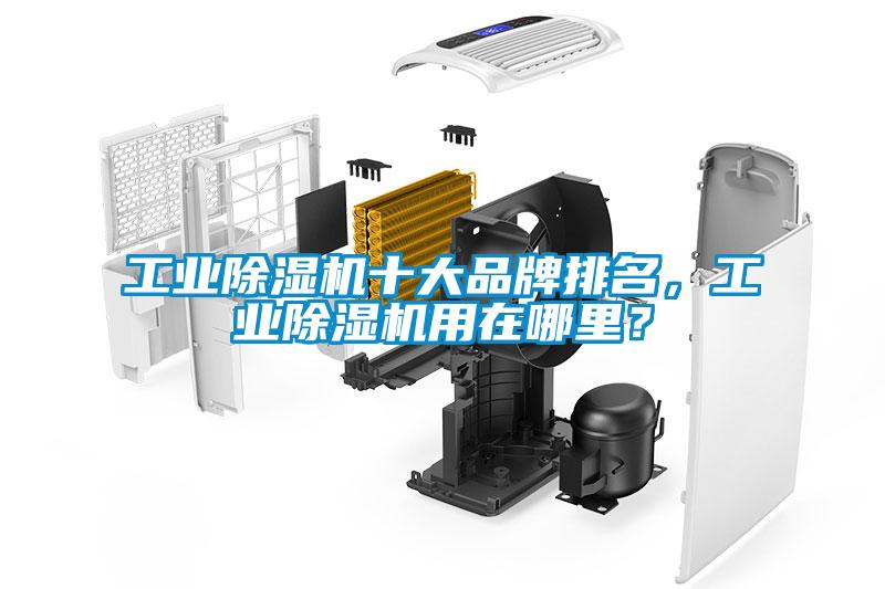 国产精品三级在线观看 工业除湿机十大品牌排名，工业除湿机用在哪里？