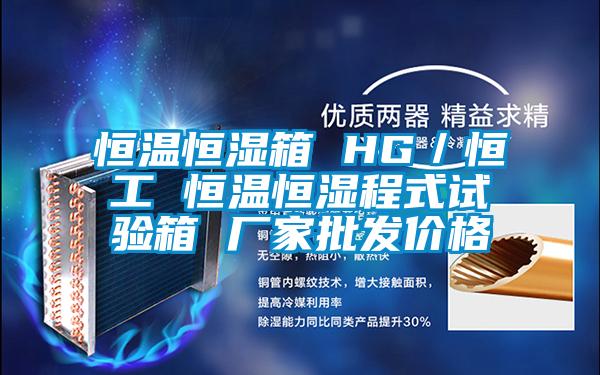 国产精品探花在线观看 恒温恒湿箱 HG／恒工 恒温恒湿程式试验箱 厂家批发价格