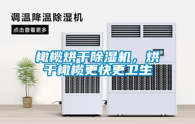 国产精品探花在线观看 橄榄烘干除湿机，烘干橄榄更快更卫生