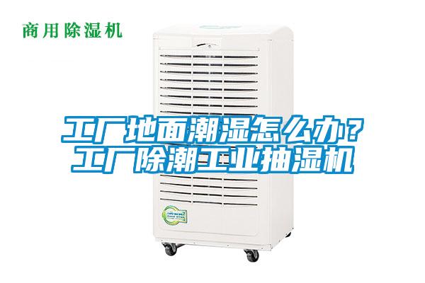 国产精品欧美激情视频 工厂地面潮湿怎么办？工厂除潮工业抽湿机
