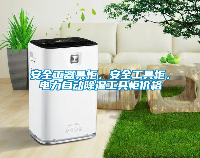 国产精品三级在线观看 安全工器具柜，安全工具柜，电力自动除湿工具柜价格