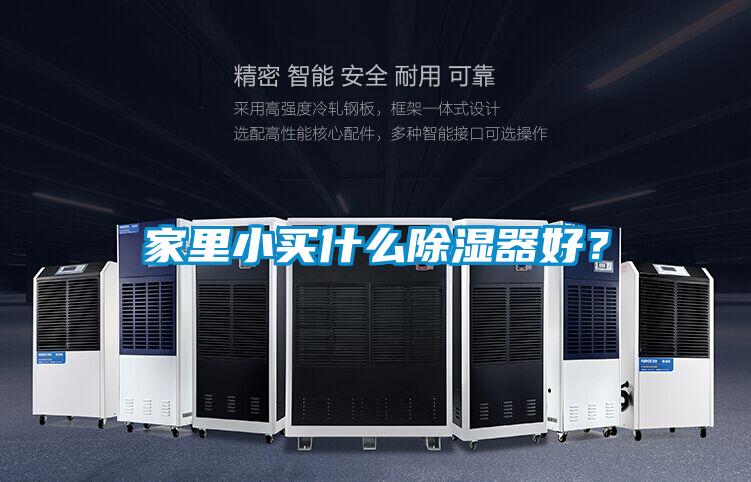国产精品三级在线观看 家里小买什么除湿器好？
