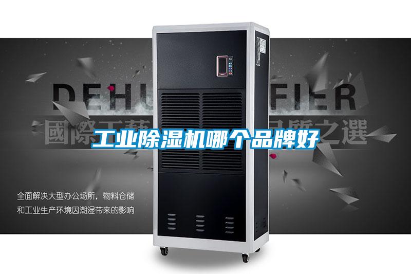 国产精品探花在线观看 工业除湿机哪个品牌好