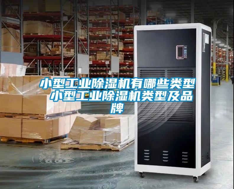 国产精品欧美激情视频 小型工业除湿机有哪些类型 小型工业除湿机类型及品牌