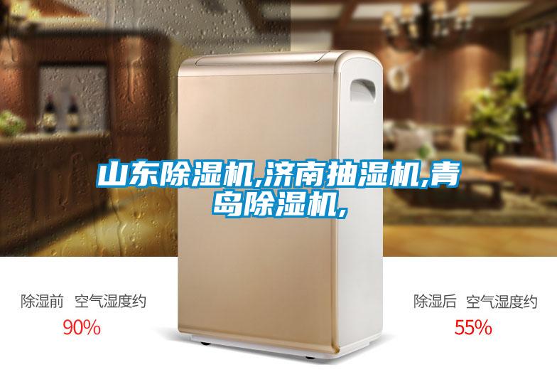 国产精品探花在线观看 山东除湿机,济南抽湿机,青岛除湿机,