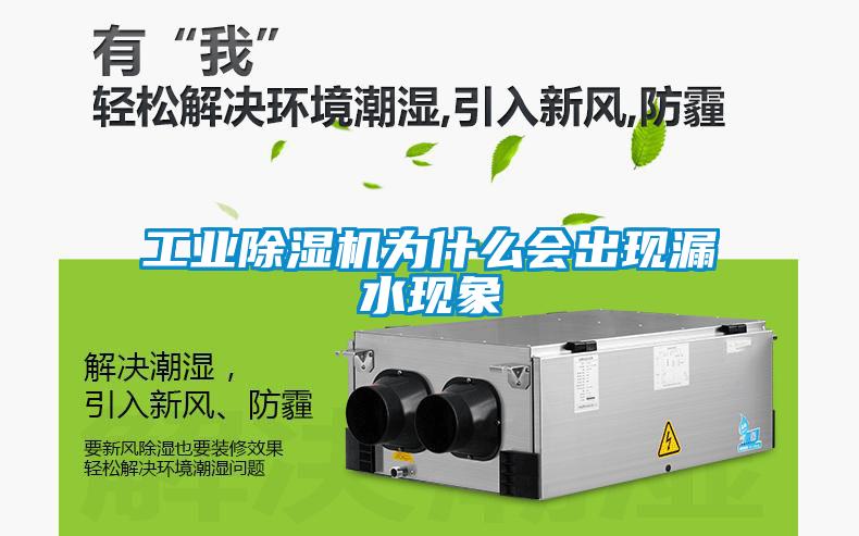 国产精品探花在线观看 工业除湿机为什么会出现漏水现象