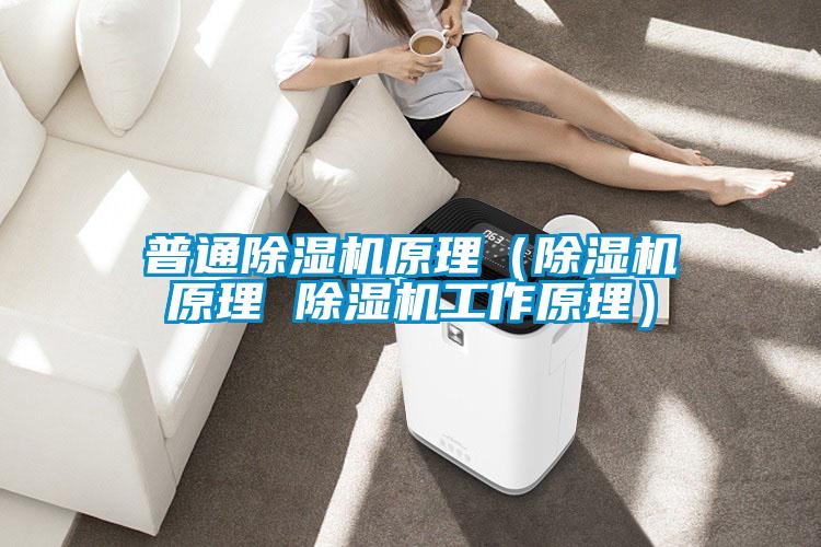 国产精品三级在线观看 普通除湿机原理（除湿机原理 除湿机工作原理）