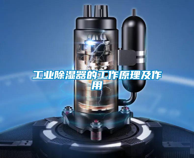 国产精品三级在线观看 工业除湿器的工作原理及作用
