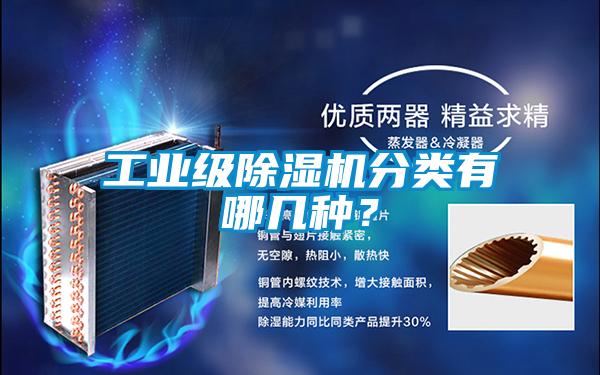 国产精品三级在线观看 工业级除湿机分类有哪几种？