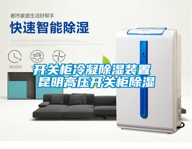 国产精品探花在线观看 开关柜冷凝除湿装置 昆明高压开关柜除湿