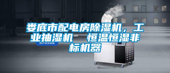 国产精品探花在线观看 娄底市配电房除湿机，工业抽湿机  恒温恒湿非标机器
