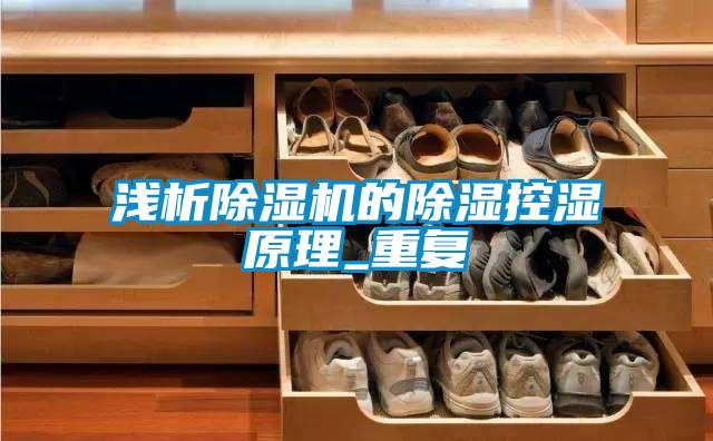 国产精品欧美激情视频 浅析除湿机的除湿控湿原理_重复