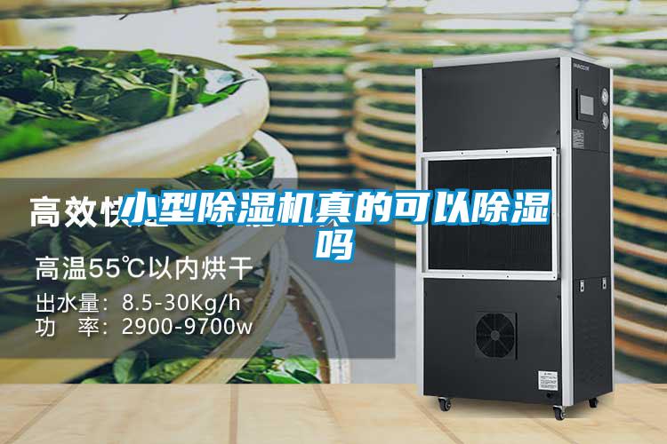 国产精品探花在线观看 小型除湿机真的可以除湿吗