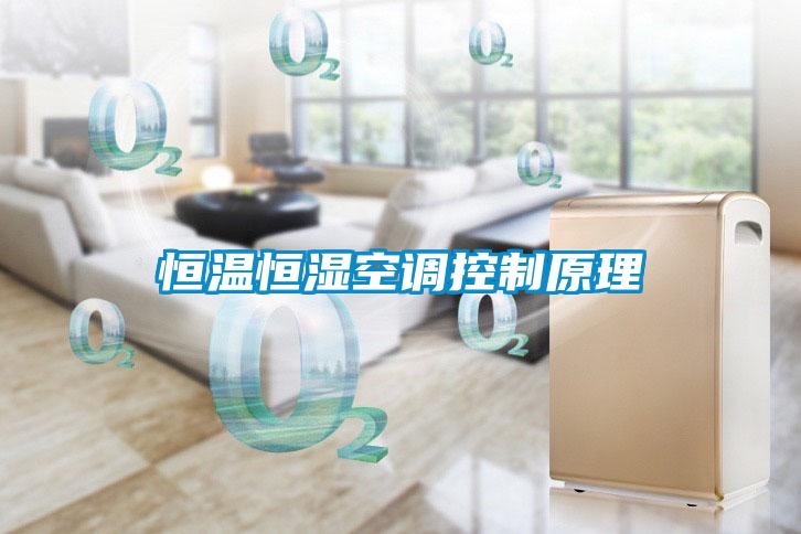 国产精品欧美激情视频 恒温恒湿空调控制原理