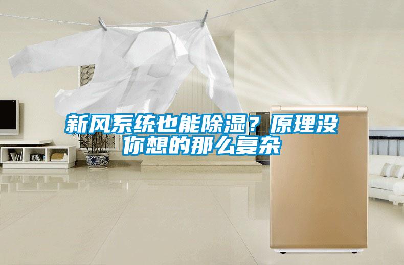 国产精品三级在线观看 新风系统也能除湿？原理没你想的那么复杂
