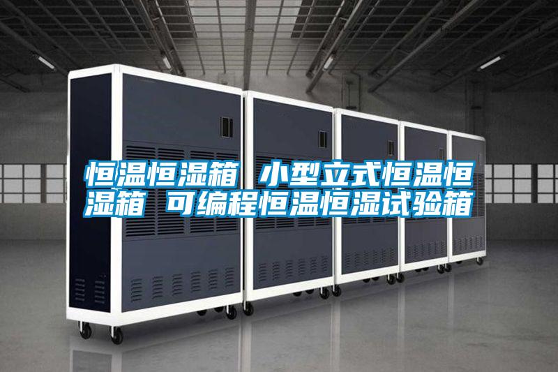 国产精品欧美激情视频 恒温恒湿箱 小型立式恒温恒湿箱 可编程恒温恒湿试验箱