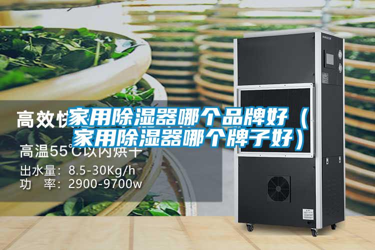 国产精品欧美激情视频 家用除湿器哪个品牌好（家用除湿器哪个牌子好）