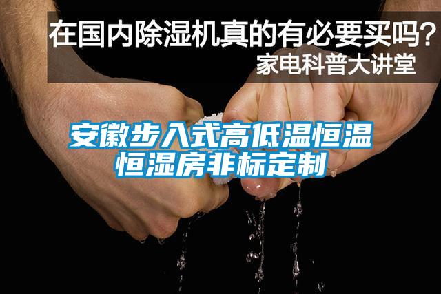 国产精品探花在线观看 安徽步入式高低温恒温恒湿房非标定制