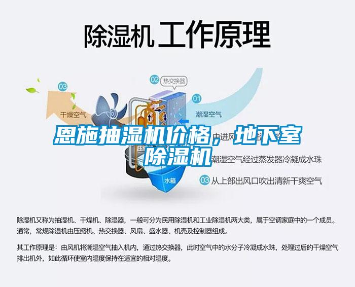 国产精品探花在线观看 恩施抽湿机价格，地下室除湿机
