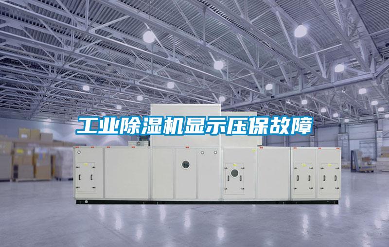 国产精品三级在线观看 工业除湿机显示压保故障