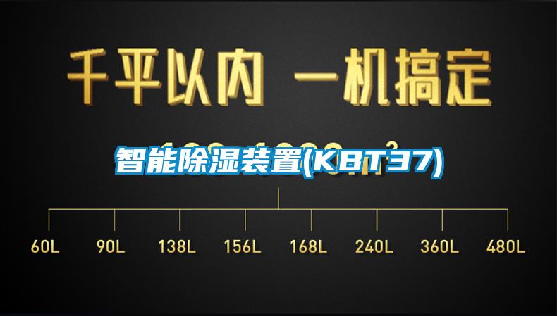 国产精品欧美激情视频 智能除湿装置(KBT37)