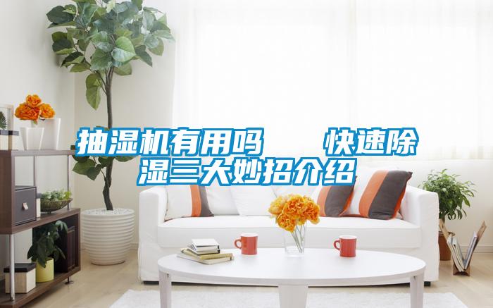 国产精品探花在线观看 抽湿机有用吗   快速除湿三大妙招介绍