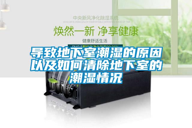 国产精品探花在线观看 导致地下室潮湿的原因以及如何清除地下室的潮湿情况